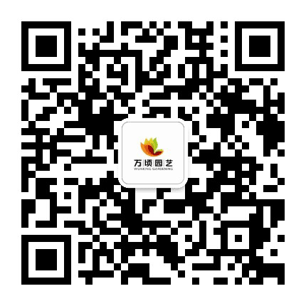 万顷园艺公众号二维码