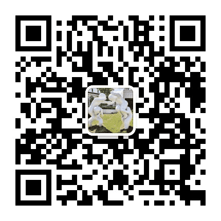 鲁家峙红石体育公园公众号二维码