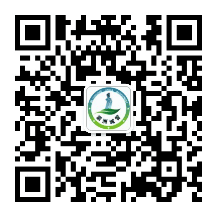 湄洲城管公众号二维码