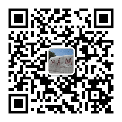 新洞庭公众号二维码