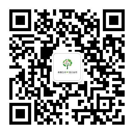 康巴什区第十二幼儿园公众号二维码