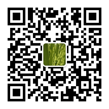 广西扶绥县柳桥镇公众号二维码