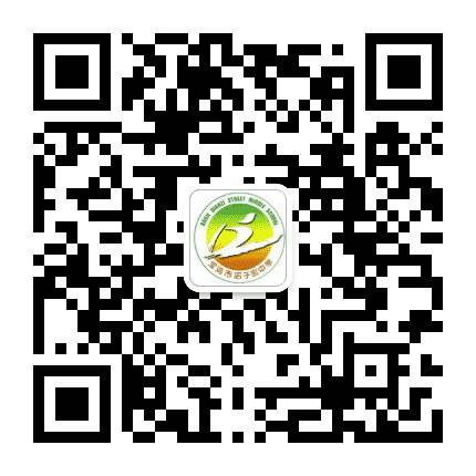 宝鸡市店子街中学公众号二维码