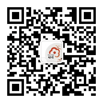 梅墟微讯公众号二维码