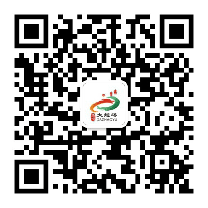 大赵峪街道办事处公众号二维码