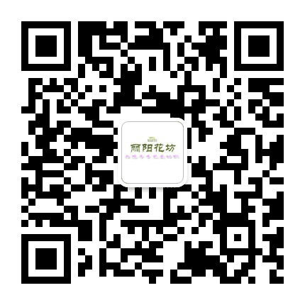 丽阳花坊公众号二维码