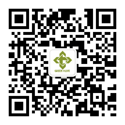 北京青橄榄文化公众号二维码