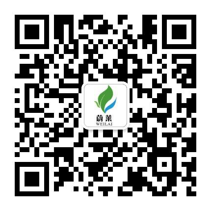 广东蔚莱公众号二维码