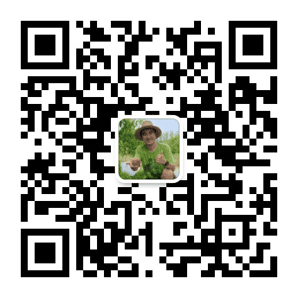 谷哥爱美食公众号二维码