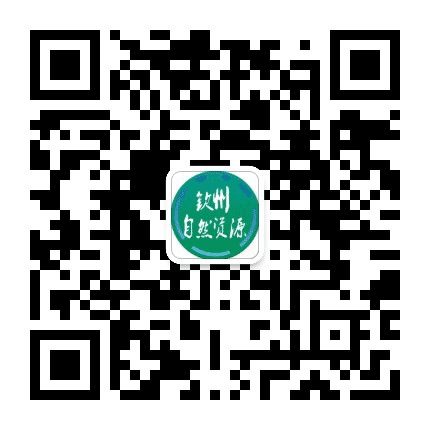 钦州自然资源公众号二维码
