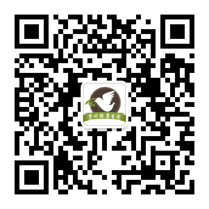 贵州健康生活公众号二维码