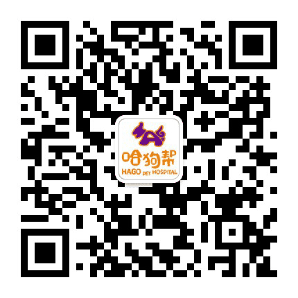 苏州哈狗帮宠物医院公众号二维码