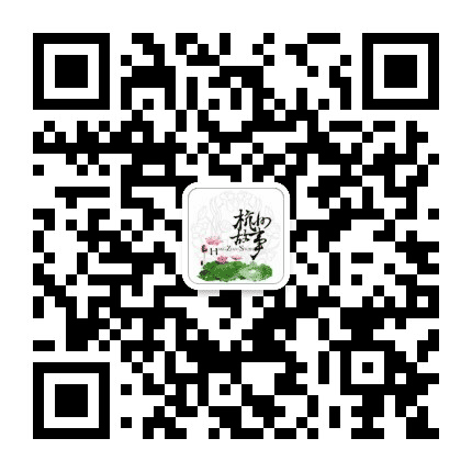 杭州故事公众号二维码