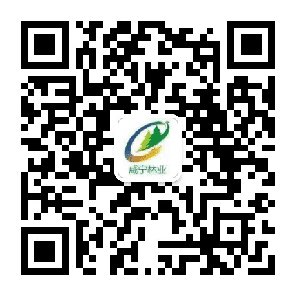 咸宁林业公众号二维码