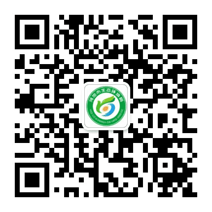 河池生态环境公众号二维码
