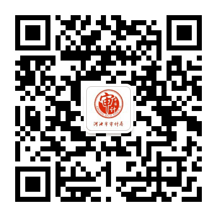 河池市审计局公众号公众号二维码