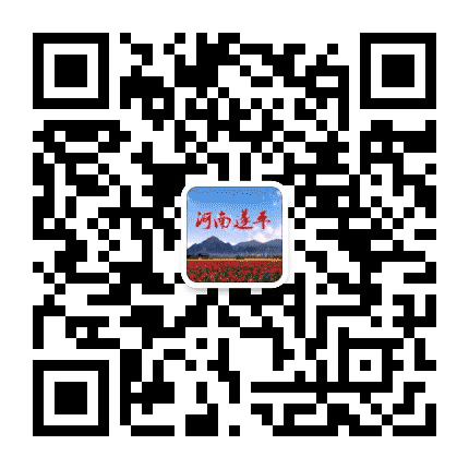 河南遂平公众号二维码
