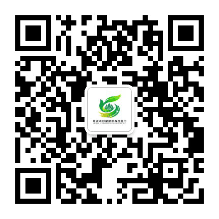 河源林业公众号二维码
