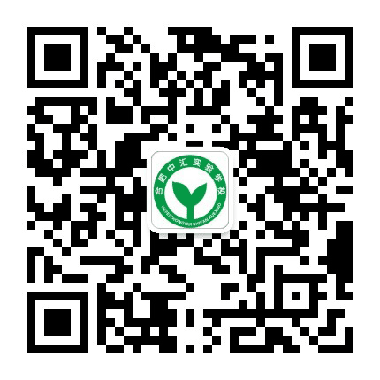 合肥中汇实验学校公众号二维码