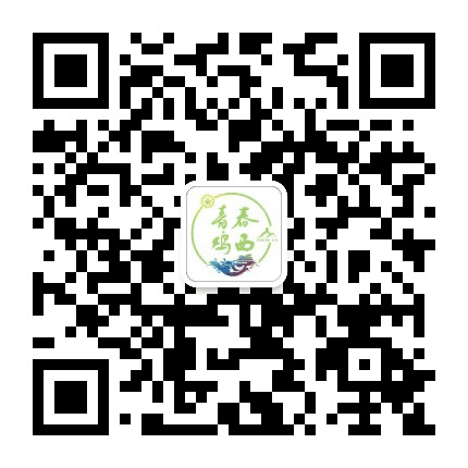 鸡西共青团公众号二维码