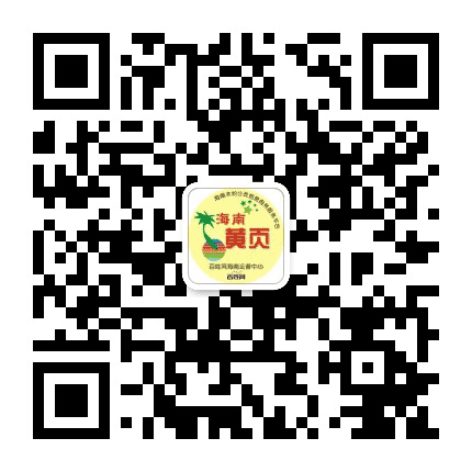 海南黄页公众号二维码