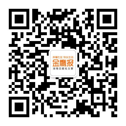 金鹰报公众号二维码