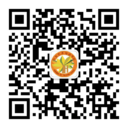 瑞景弘文教育中心公众号二维码