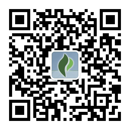黄浦教育新青年公众号二维码