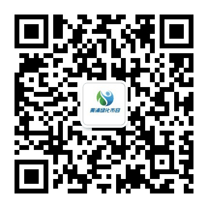 黄浦绿化市容公众号二维码