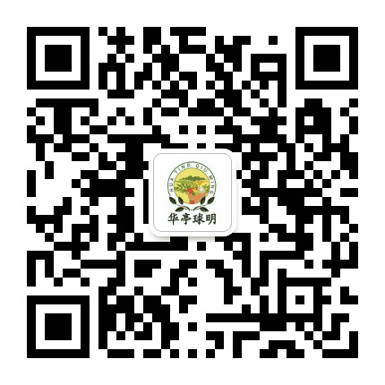 华亭哈密瓜主题公园公众号二维码