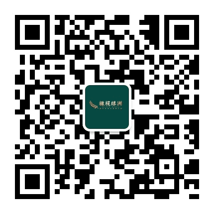 衡水橄榄绿洲公众号二维码