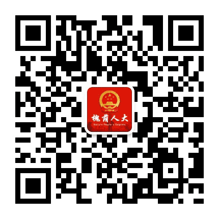 槐荫人大公众号二维码