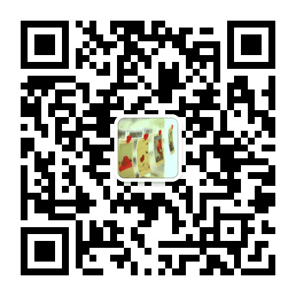 奇丽音乐相册公众号二维码