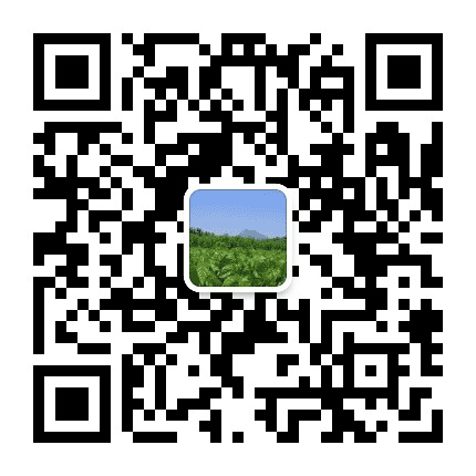 嘉陵桑茶公众号二维码