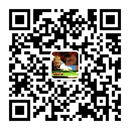教你打台球公众号二维码