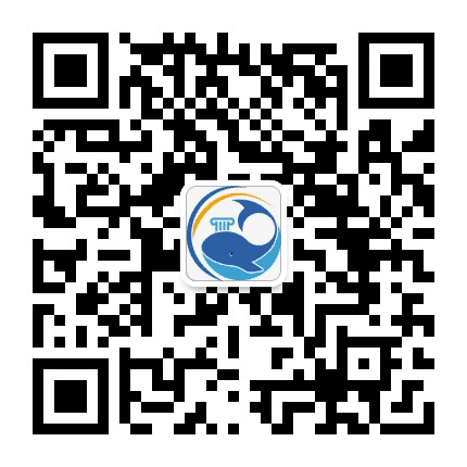 鲸律在线法律资讯公众号二维码