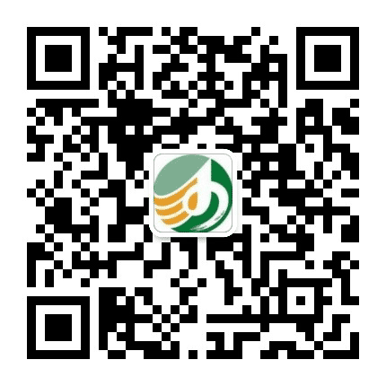 金沙河集团公众号二维码
