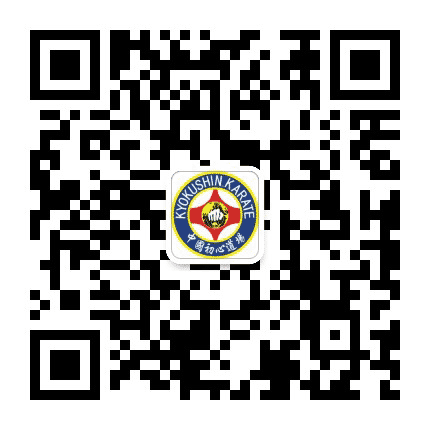 极真空手道初心道场公众号二维码