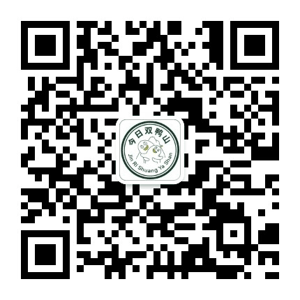 今日双鸭山公众号二维码