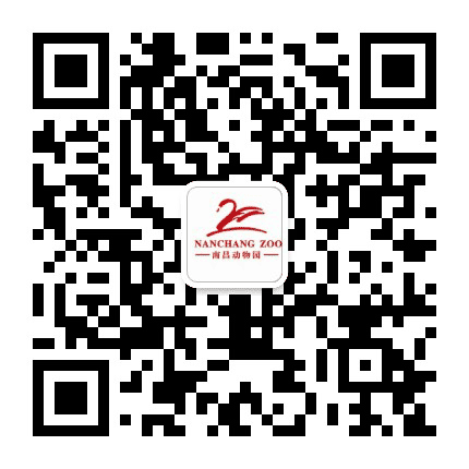 南昌动物园公众号二维码