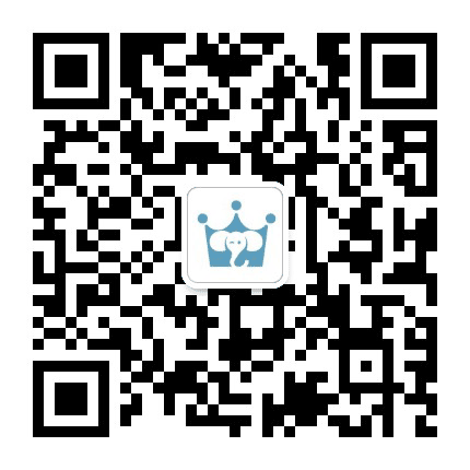 具小象的枕头店公众号二维码