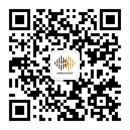 龙城皮布公众号二维码