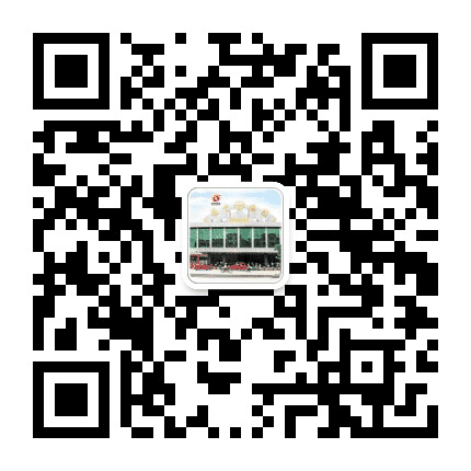 罗定汽车总站公众号二维码