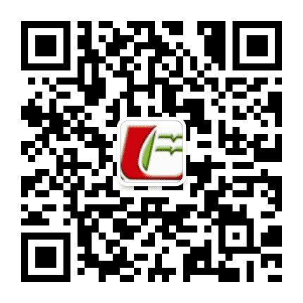 重庆市北碚区龙凤桥小学校公众号二维码