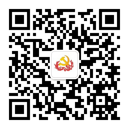 龙凤党建公众号二维码