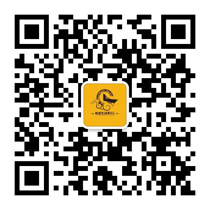 连城爱生活公众号二维码