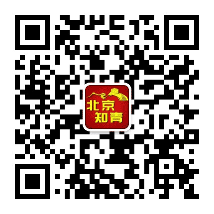 北京知青公众号二维码