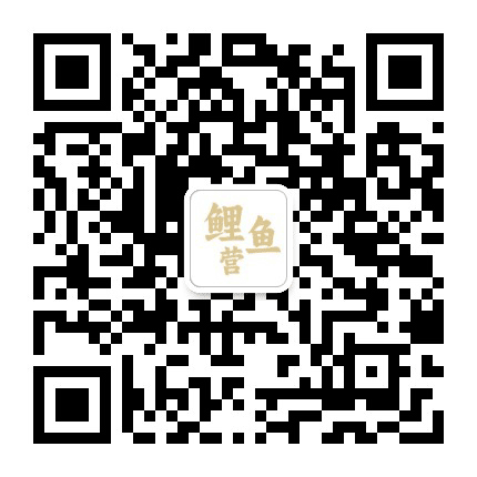 鲤鱼课公众号二维码