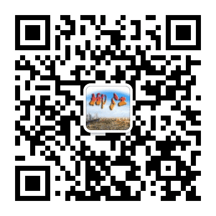 柳江区政府网公众号二维码