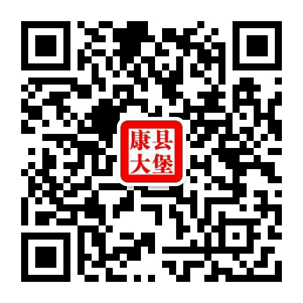 陇南康县大堡镇公众号二维码